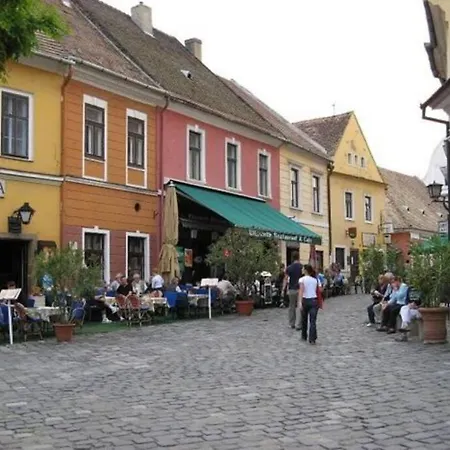 The Pearl Of The Danube Bend - Regina Apartment