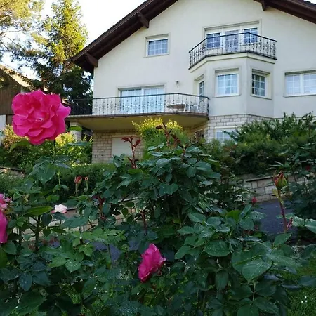 The Pearl Of The Danube Bend - Regina Apartment *
